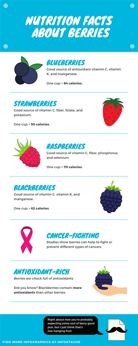 Nutrition Facts About Berries Infographic Infostache