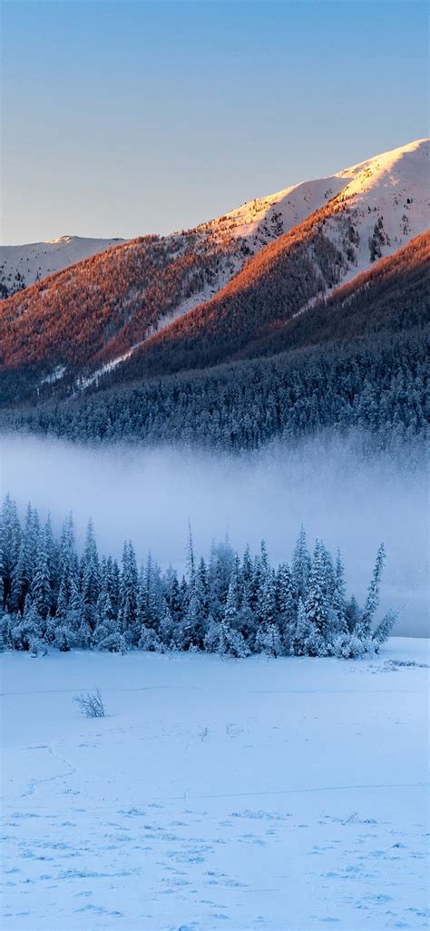 1125x2436 Forest Snowy Winter Mountains Iphone Xsiphone 10iphone X