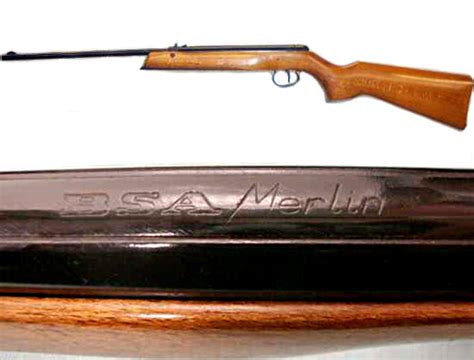 John bezzant has a monthly column in air gunner magazine and is the author of air rifle shooting for pest control and rabbiting. Could you tell me about .177 BSA Merlin air rifles ...