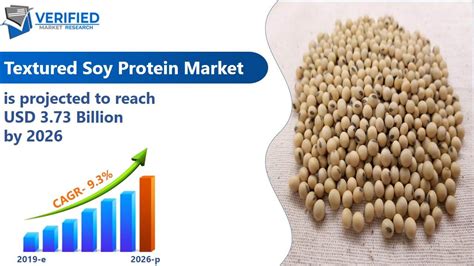 Textured Soy Protein Market Size Share Trends And Forecast