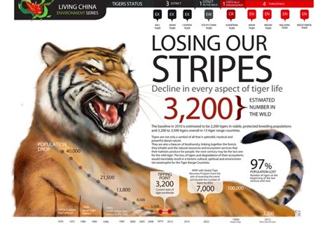 Tigers In Decline Support Wwf Tigers Programs