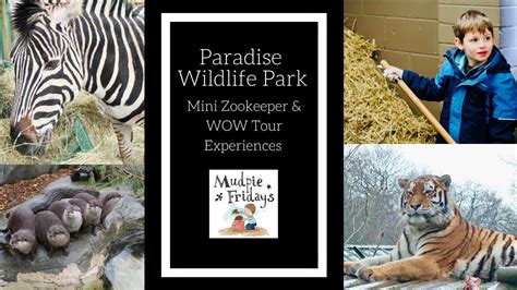 Paradise Wildlife Park Youtube