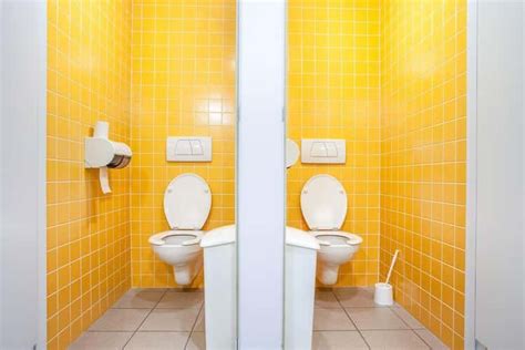 9 Perfectly Good Reasons Why Public Toilet Seats Are U Shaped