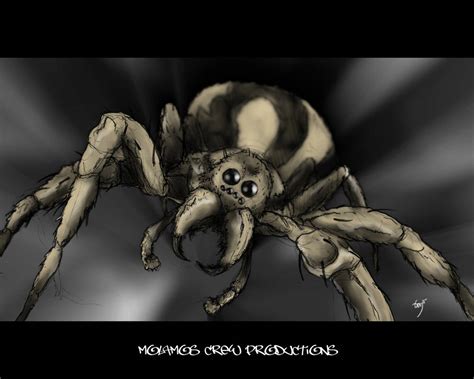 Arachnofobia By Gom8 On Deviantart