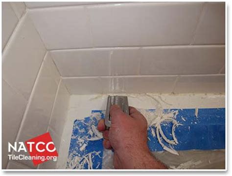 Your toilet is clean, your bathtub is sparkling, but what about your walls and tiles? How To Remove Mold in a Tile Shower