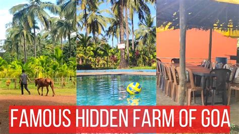 Hidden View Farm Colem Goa Goa Farms For Holidays Youtube