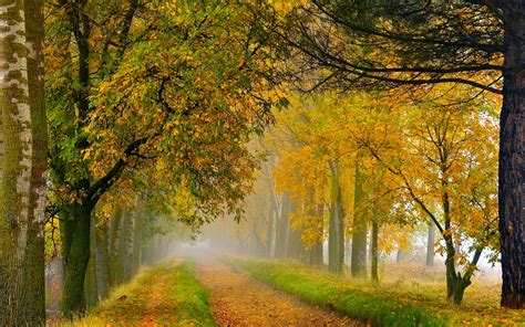 High Definition Wallpaper Of Road Wallpaper Of Autumn