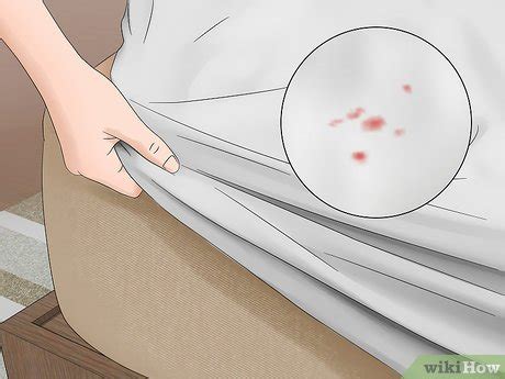 Either ask for a hotel room far away from your current one, or, if you're unlucky enough to find. 3 Ways to Check for Bedbugs - wikiHow