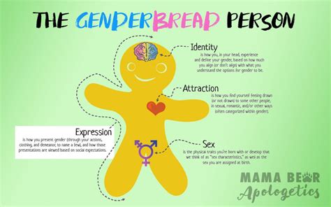 Genderbread Person Part 2 Gender Expression And Maybe How We Got To