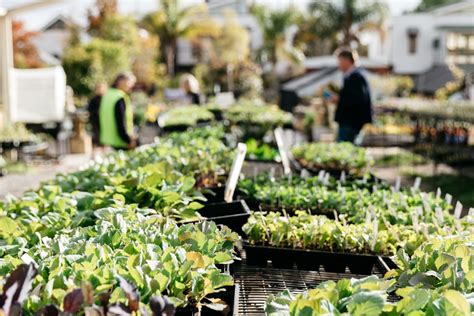 Covid safe travel in australia. The great COVID-19 gardening boom - The Adelaide Review