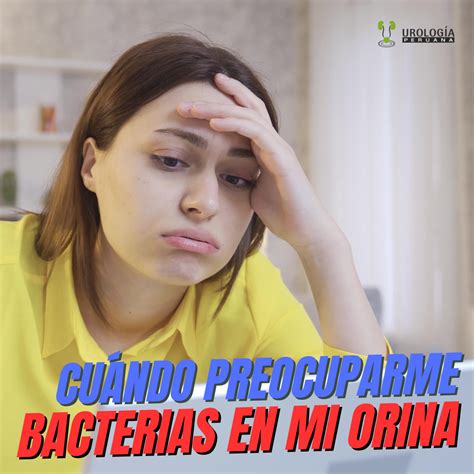 ¿cuándo Debo Preocuparme Por Las Bacterias En Mi Orina Urología Peruana Dr Susaníbar