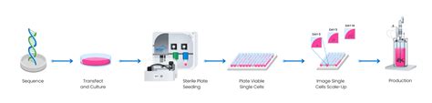 Cell Line Development And Engineering Nanocellect