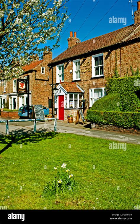 The Red Lion Haxby Stock Photo Alamy