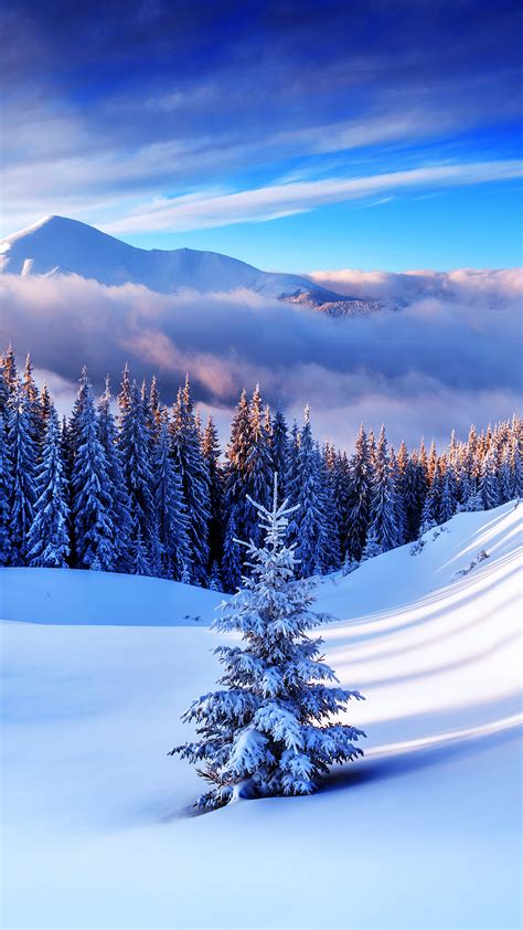Winter Mountain Tree Iphone 6s Plus Wallpaper Gallery