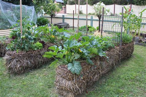 Guest Post Straw Bale Gardening Gardening 4 Kids