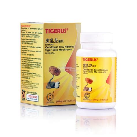 It also alleviates common ailments like fatigue, cold, fever, indigestion, aches and. Tigerus Tiger Milk Mushroom Sclerot (end 8/17/2019 11:15 AM)