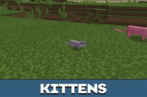 Download Cat Texture Pack For Minecraft Pe Cat Texture Pack For Mcpe