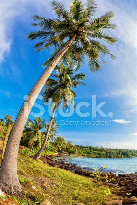 Exotic Tropical Beach Thailand Stock Photo Royalty Free Freeimages