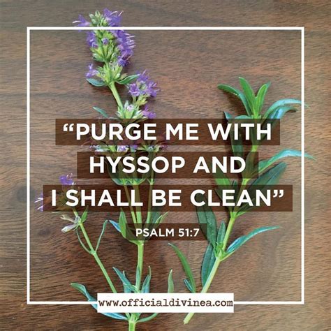 The bible does not promise that believers will be spared from pandemics, however, god has said to those who live in disobedience, particularly nations: Where in the bible does it talk about herbs Sudhir ...