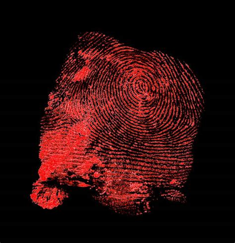 Fingerprint Thumbprint Blood Human Thumb Stock Photos Pictures