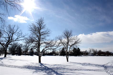 Sunny Winter Day Pictures Images And Pictures Becuo