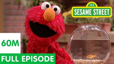 Elmo And Friends Find The Best Pet Sesame Street Full Episode Youtube