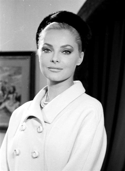 Virna Lisi Italian Actress Movie Stars Old Hollywood