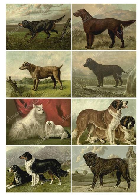 Printable Digital Vintage Dogs Collage Sheet Clip Art Etsy