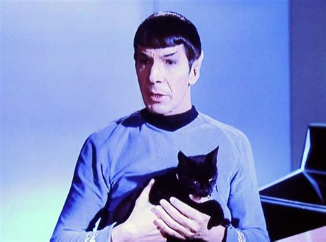 Spock With His Kitty Cat Star Trek Tos Star Trek Sci Fi