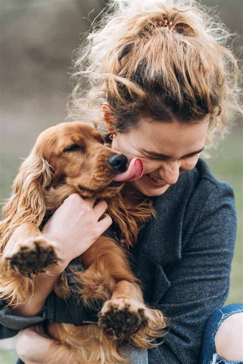 Funnyland Does My Dog Show Love Understand 12 Signs Of Affection From