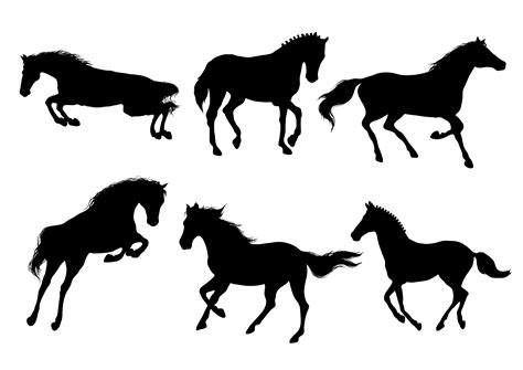 Eine Reihe Von Silhouette Der Schönen Pferde Laufen Und Springen