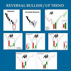 Forex Candlestick Basics Knowledge That Made Trading Easy