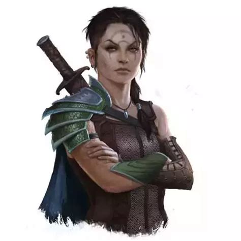 99 Dandd Female Character Art Pieces No Boobplate Or Stab Friendly