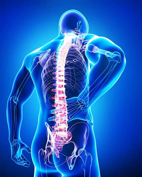 How To Recover From A Spinal Surgery Kauvery Hospital