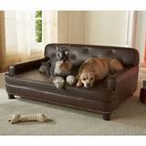 Images of Luxury Sofa Beds For Dogs