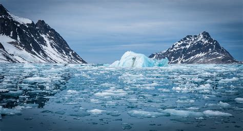 An iceberg is a large piece of freshwater ice that has broken off from a glacier or ice shelf and is floating in open water. Icebergs | The Point Magazine