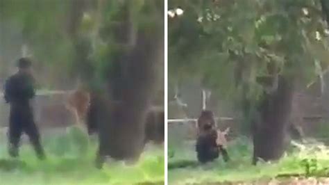 Man Jumps In Lion Enclosure Stares It Down And Somehow Survives