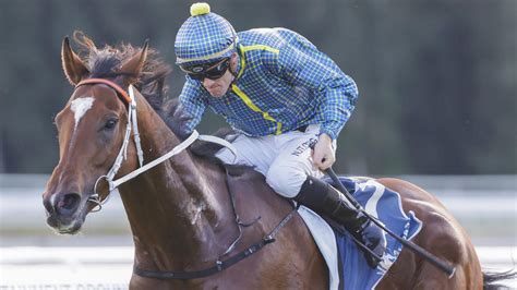 Goulburn Preview Charlemagne And Tudor Prince Debut For Danielle Seib