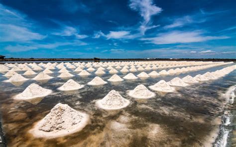 Salty Soils Stock Photos Pictures And Royalty Free Images Istock