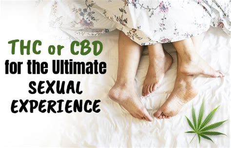 Thc Or Cbd For The Ultimate Sex Encounter Cbd Magnates