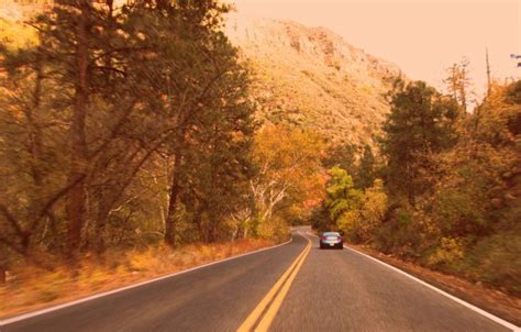 8 Roads In Arizona With The Best Fall Windshield Views Scenic Roads