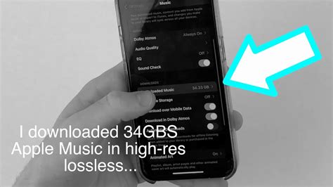 How To Change Apple Music Lossless Settings On Iphone Youtube