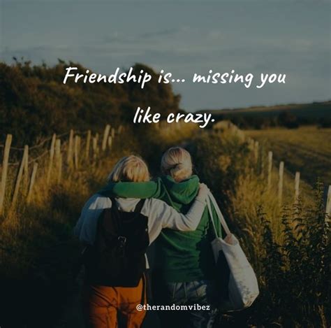 Friendship Is Missing You Like Crazy