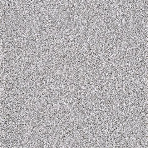 45 of 45 photosets for carpet. Home Decorators Collection Carpet Sample - Affectionate I ...