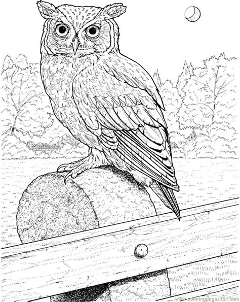 Download and print these cute owl coloring pages for free. great horned owl coloring page (planke) | Color this Page ...