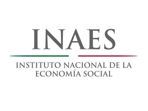 Sólo 230 Proyectos Aprueba El Inaes Para Nuevas Empresas