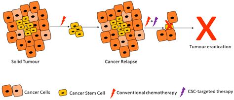 Cells Free Full Text Advances In Therapeutic Targeting Of Cancer