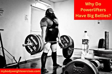 Why Do Powerlifters Have Big Bellies Heres The Reasons Why My Bodyweight Exercises