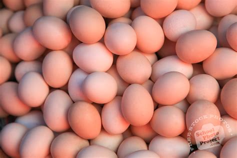 Eggs Free Stock Photo Image Picture Organic Chicken Eggs Royalty