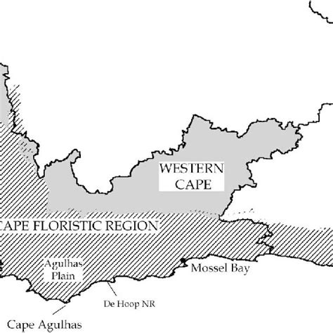 Map Showing The Cape Floristic Region In Relation To The
